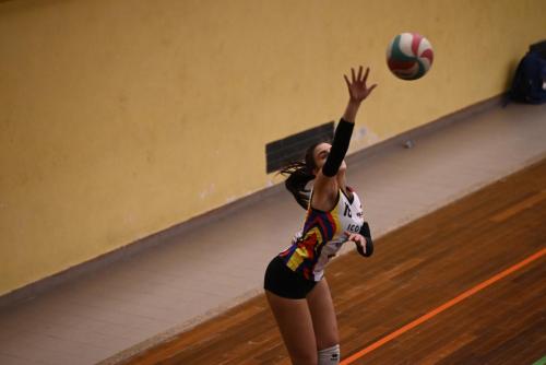 DSC5176